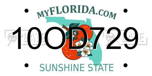10OD729 Florida License Plate