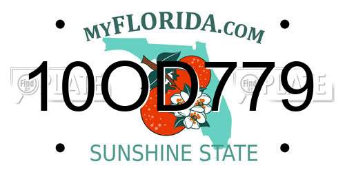 10OD779 Florida License Plate