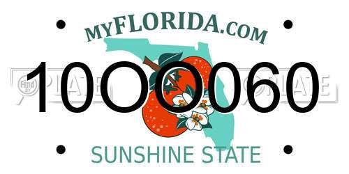 10OO060 Florida License Plate