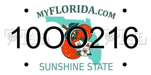 10OO216 Florida License Plate