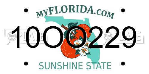 10OO229 Florida License Plate