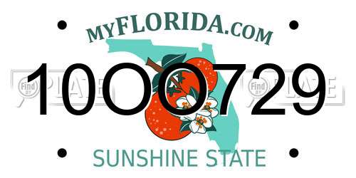 10OO729 Florida License Plate