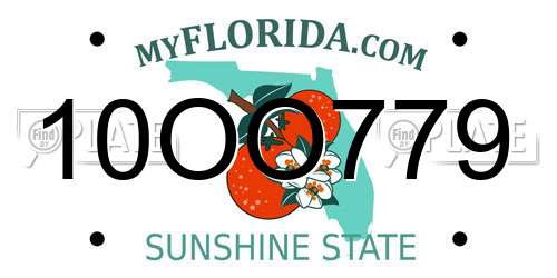 10OO779 Florida License Plate