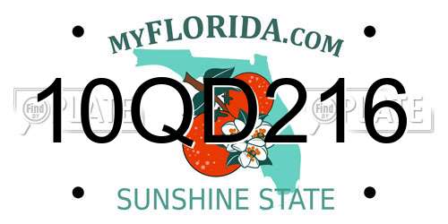 10QD216 Florida License Plate