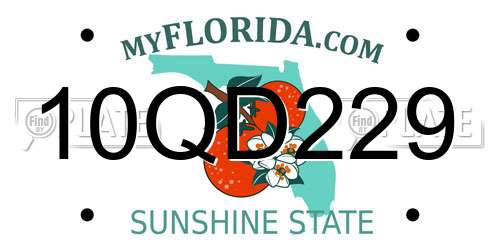 10QD229 Florida License Plate