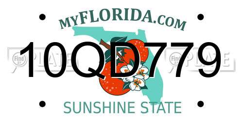 10QD779 Florida License Plate