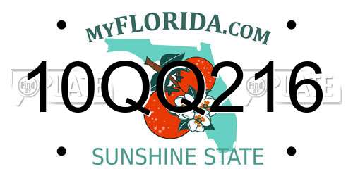10QQ216 Florida License Plate