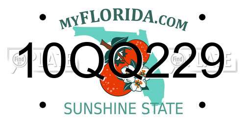 10QQ229 Florida License Plate