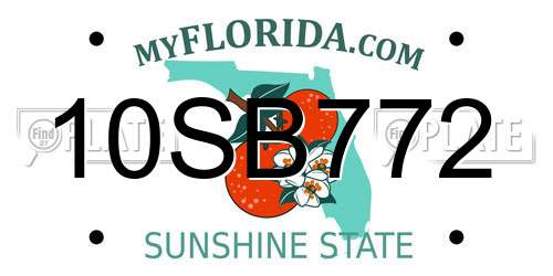 10SB772 Florida License Plate