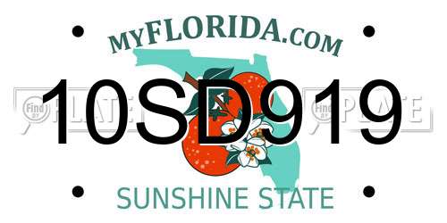 10SD919 Florida License Plate