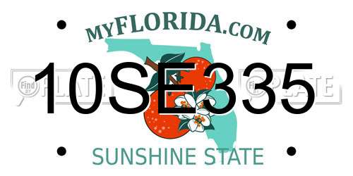 10SE335 Florida License Plate