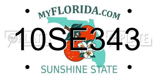 10SE343 Florida License Plate