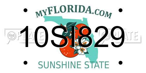 10SI829 Florida License Plate
