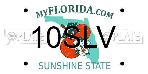 10SLV Florida License Plate