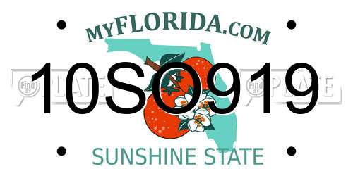 10SO919 Florida License Plate