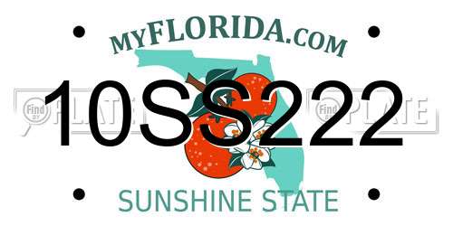 10SS222 Florida License Plate