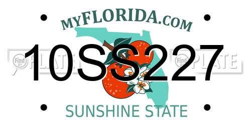 10SS227 Florida License Plate