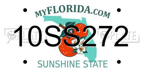 10SS272 Florida License Plate