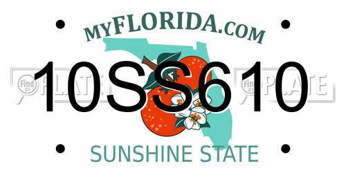 10SS610 Florida License Plate