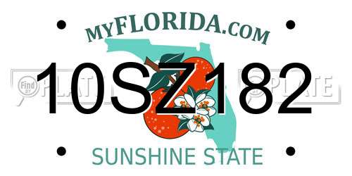 10SZ182 Florida License Plate