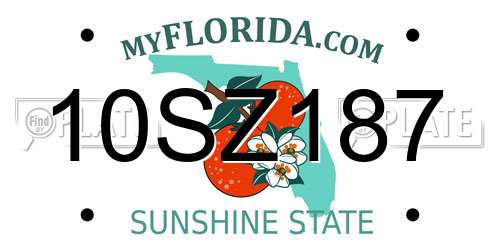 10SZ187 Florida License Plate