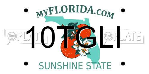 10TGLI Florida License Plate