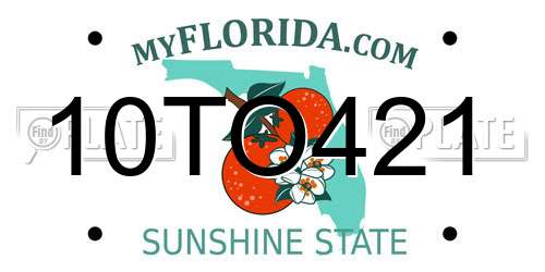 10TO421 Florida License Plate