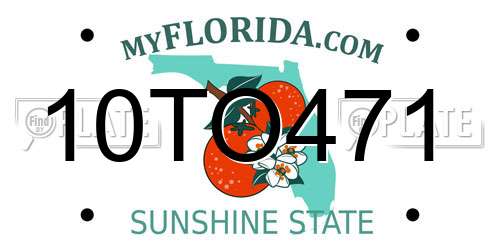 10TO471 Florida License Plate