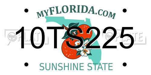 10TS225 Florida License Plate
