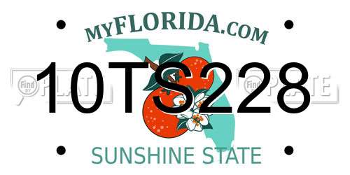 10TS228 Florida License Plate