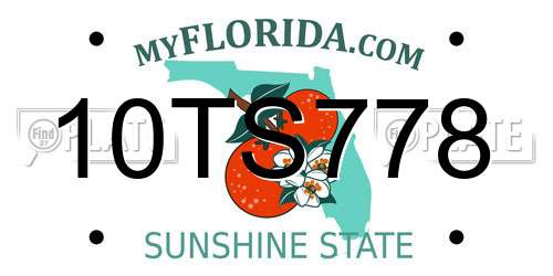 10TS778 Florida License Plate