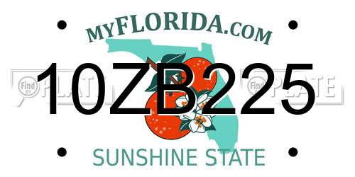 10ZB225 Florida License Plate