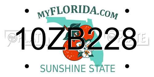 10ZB228 Florida License Plate