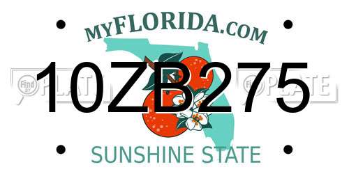 10ZB275 Florida License Plate