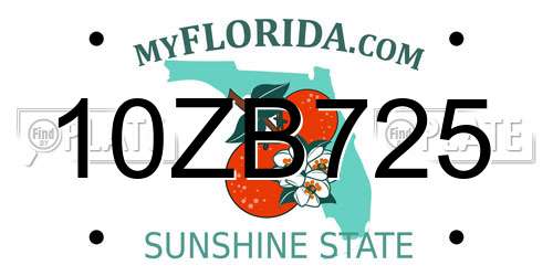 10ZB725 Florida License Plate