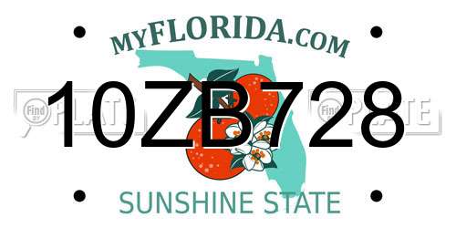 10ZB728 Florida License Plate