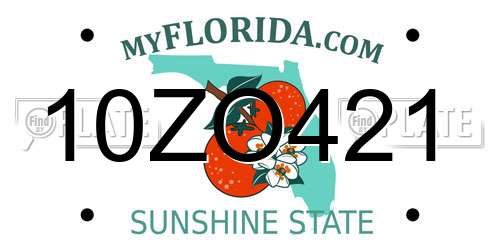 10ZO421 Florida License Plate