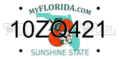 10ZQ421 Florida License Plate