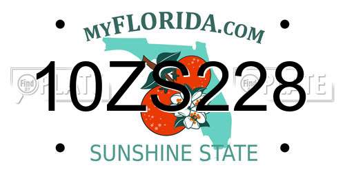 10ZS228 Florida License Plate