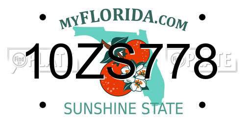 10ZS778 Florida License Plate