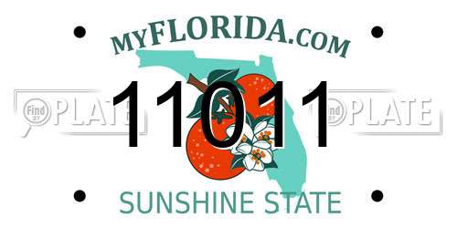 11011 Florida License Plate