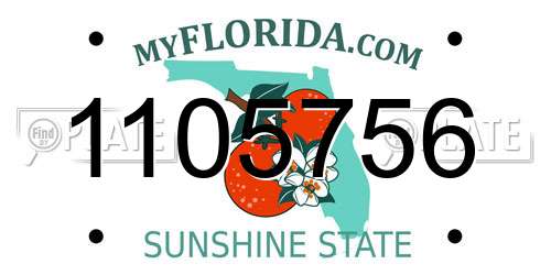 1105756 Florida License Plate