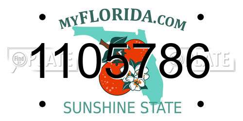 1105786 Florida License Plate