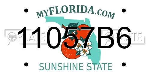 11057B6 Florida License Plate
