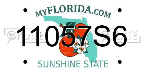 11057S6 Florida License Plate