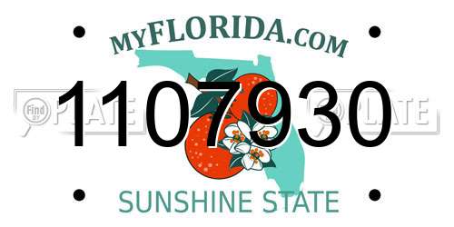 1107930 Florida License Plate