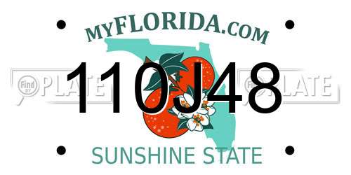 110J48 Florida License Plate