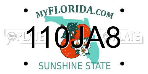 110JA8 Florida License Plate