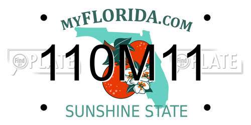 110M11 Florida License Plate