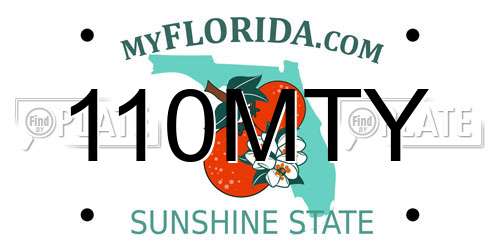 110MTY Florida License Plate